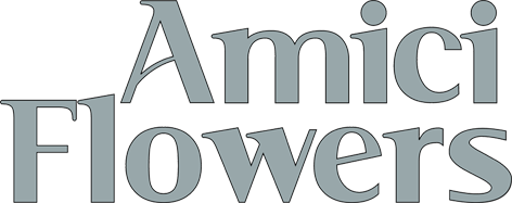cropped-amici-new-logo-reduced.png